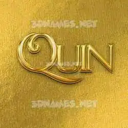 quin in All Gold style - 3D name wallpaper