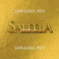 saleela in All Gold style - 3D name wallpaper