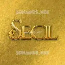 secil in All Gold style - 3D name wallpaper