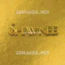 shawnee in All Gold style - 3D name wallpaper