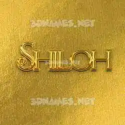 shiloh in All Gold style - 3D name wallpaper