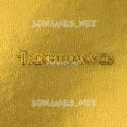 trinhtuanvcb in All Gold style - 3D name wallpaper