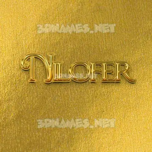 nilofer in All Gold style - 3D name wallpaper nilofer in All Gold style - 3D name wallpaper
