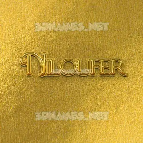 niloufer in All Gold style - 3D name wallpaper niloufer in All Gold style - 3D name wallpaper
