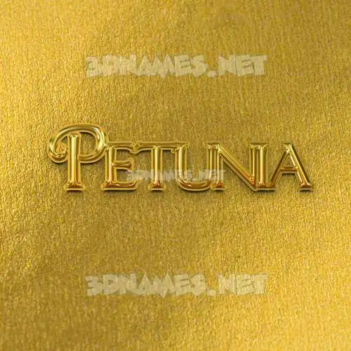 petunia in All Gold style - 3D name wallpaper petunia in All Gold style - 3D name wallpaper