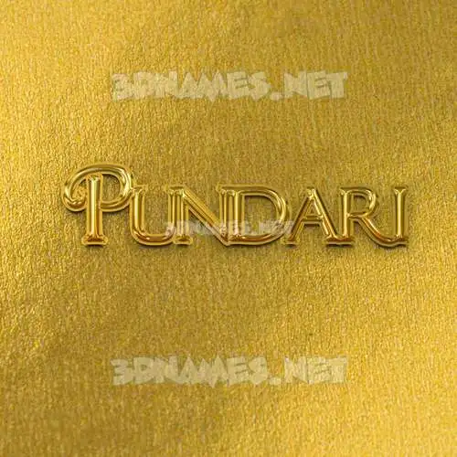 pundari in All Gold style - 3D name wallpaper