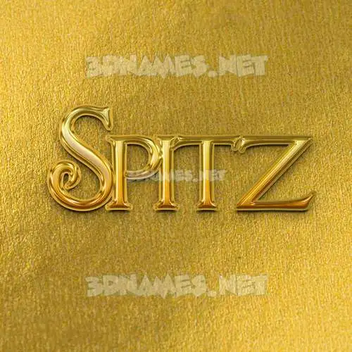 spitz in All Gold style - 3D name wallpaper