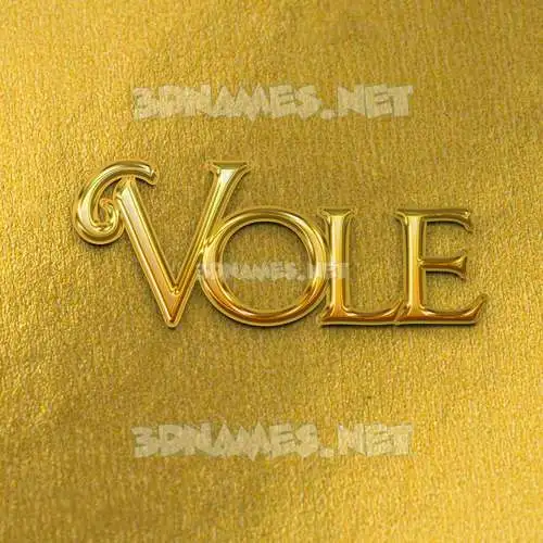 vole in All Gold style - 3D name wallpaper