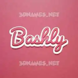 bashly in Red Scribble style - 3D name wallpaper