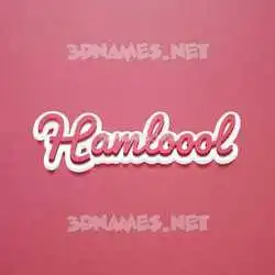 hamloool in Red Scribble style - 3D name wallpaper