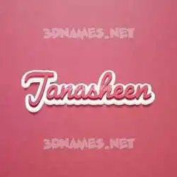 janasheen in Red Scribble style - 3D name wallpaper