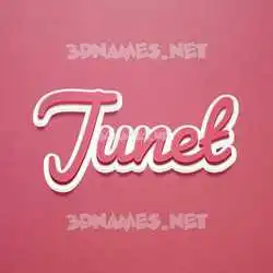 junet in Red Scribble style - 3D name wallpaper
