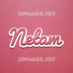 netam in Red Scribble style - 3D name wallpaper