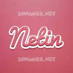 netin in Red Scribble style - 3D name wallpaper