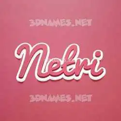 netri in Red Scribble style - 3D name wallpaper