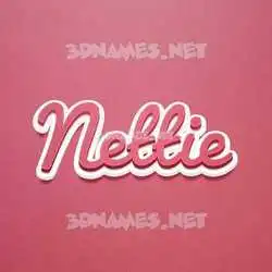nettie in Red Scribble style - 3D name wallpaper