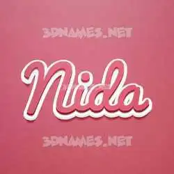 nida in Red Scribble style - 3D name wallpaper