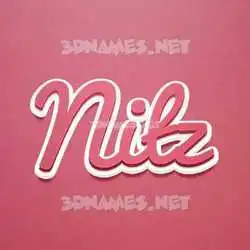 nitz in Red Scribble style - 3D name wallpaper