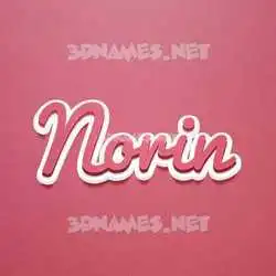 norin in Red Scribble style - 3D name wallpaper