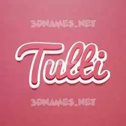 tulti in Red Scribble style - 3D name wallpaper