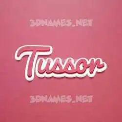 tussor in Red Scribble style - 3D name wallpaper
