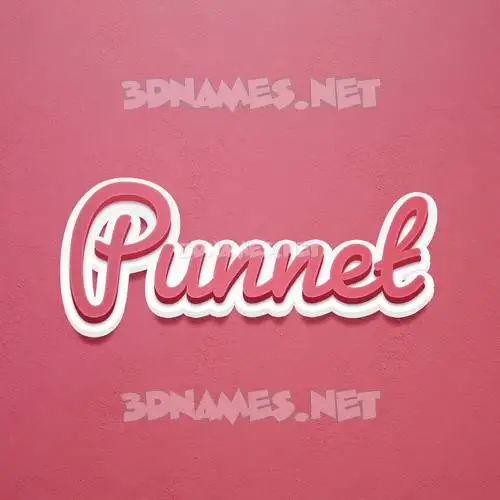 punnet in Red Scribble style - 3D name wallpaper punnet in Red Scribble style - 3D name wallpaper