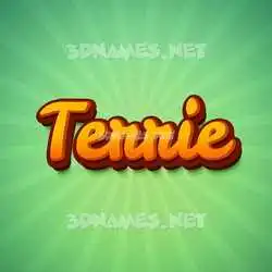 terrie in Green Rays style - 3D name wallpaper