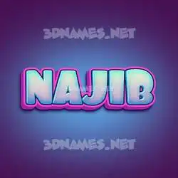 najib in Phat Purple style - 3D name wallpaper