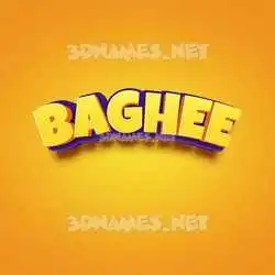 baghee in Orange Toon style - 3D name wallpaper
