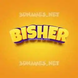 bisher in Orange Toon style - 3D name wallpaper