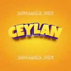 ceylan in Orange Toon style - 3D name wallpaper