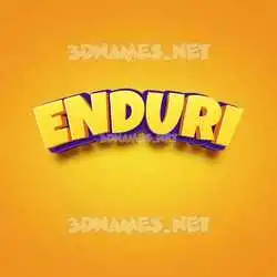 enduri in Orange Toon style - 3D name wallpaper