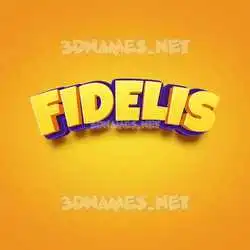 fidelis in Orange Toon style - 3D name wallpaper