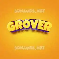 grover in Orange Toon style - 3D name wallpaper