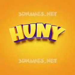 huny in Orange Toon style - 3D name wallpaper