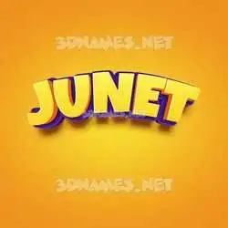 junet in Orange Toon style - 3D name wallpaper