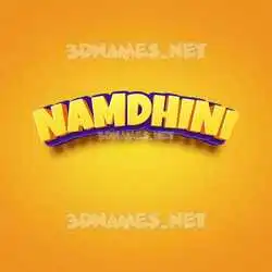namdhini in Orange Toon style - 3D name wallpaper