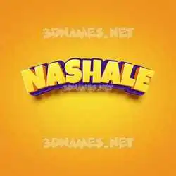 nashale in Orange Toon style - 3D name wallpaper