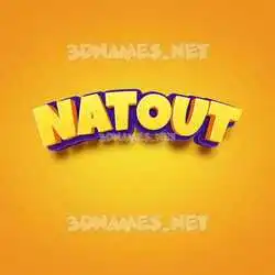 natout in Orange Toon style - 3D name wallpaper