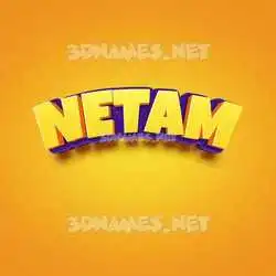 netam in Orange Toon style - 3D name wallpaper