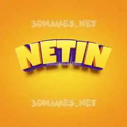 netin in Orange Toon style - 3D name wallpaper