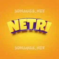 netri in Orange Toon style - 3D name wallpaper