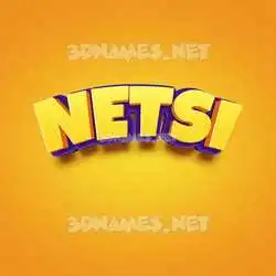 netsi in Orange Toon style - 3D name wallpaper