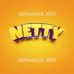 netty in Orange Toon style - 3D name wallpaper