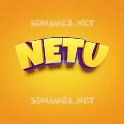 netu in Orange Toon style - 3D name wallpaper