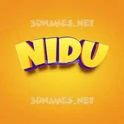 nidu in Orange Toon style - 3D name wallpaper