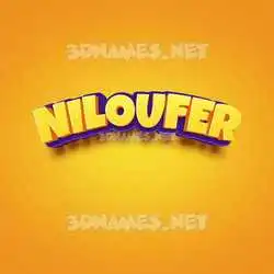 niloufer in Orange Toon style - 3D name wallpaper