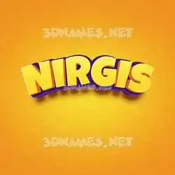 nirgis in Orange Toon style - 3D name wallpaper
