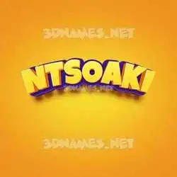 ntsoaki in Orange Toon style - 3D name wallpaper