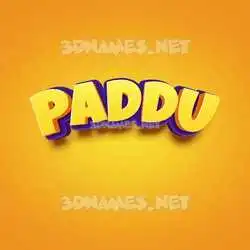 paddu in Orange Toon style - 3D name wallpaper